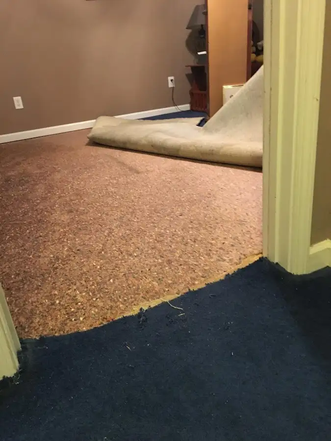 Carpet pad removal revealing water damage during Water Mitigation Services in Mount Vernon