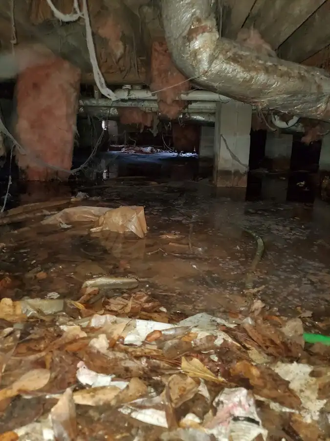 Crawl space flood assessment for Commercial Water Damage Restoration in Mount Vernon